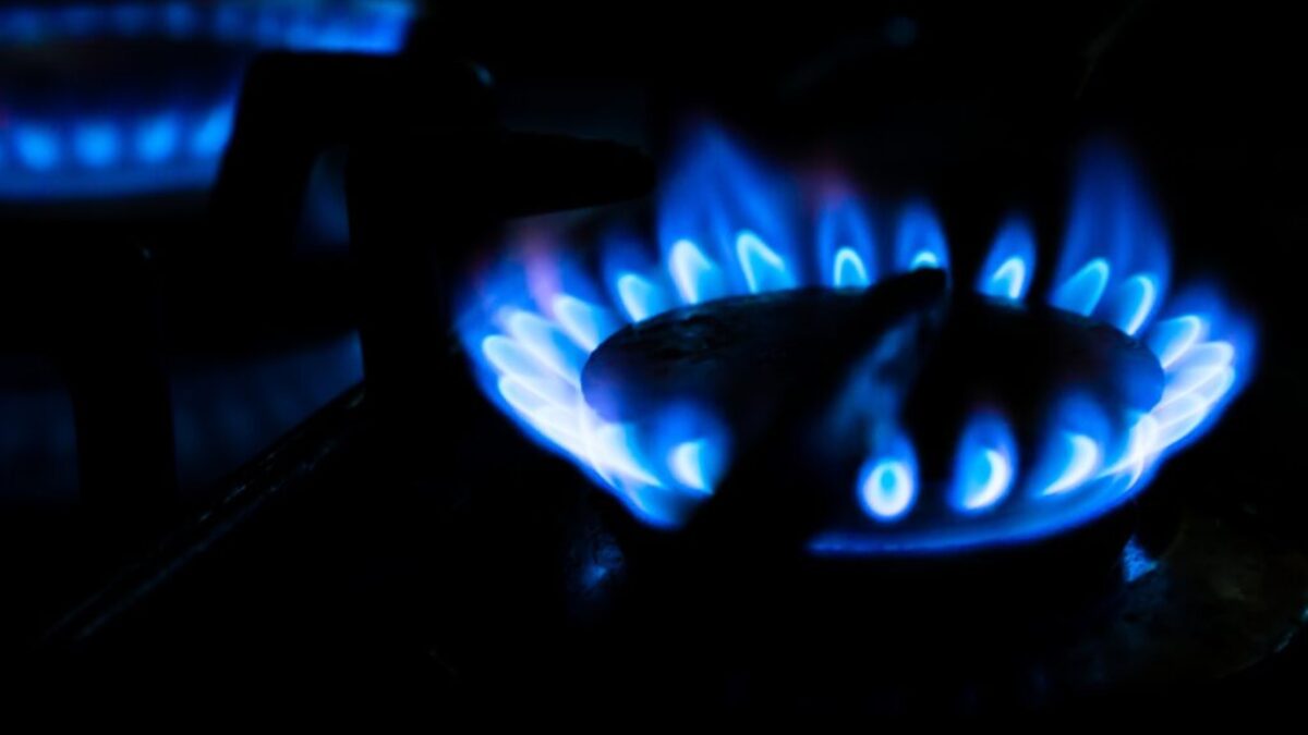 close up photo of burning wood