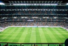 soccer field