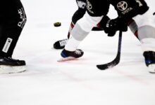 people playing ice hockey