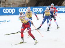 Sandro Halank