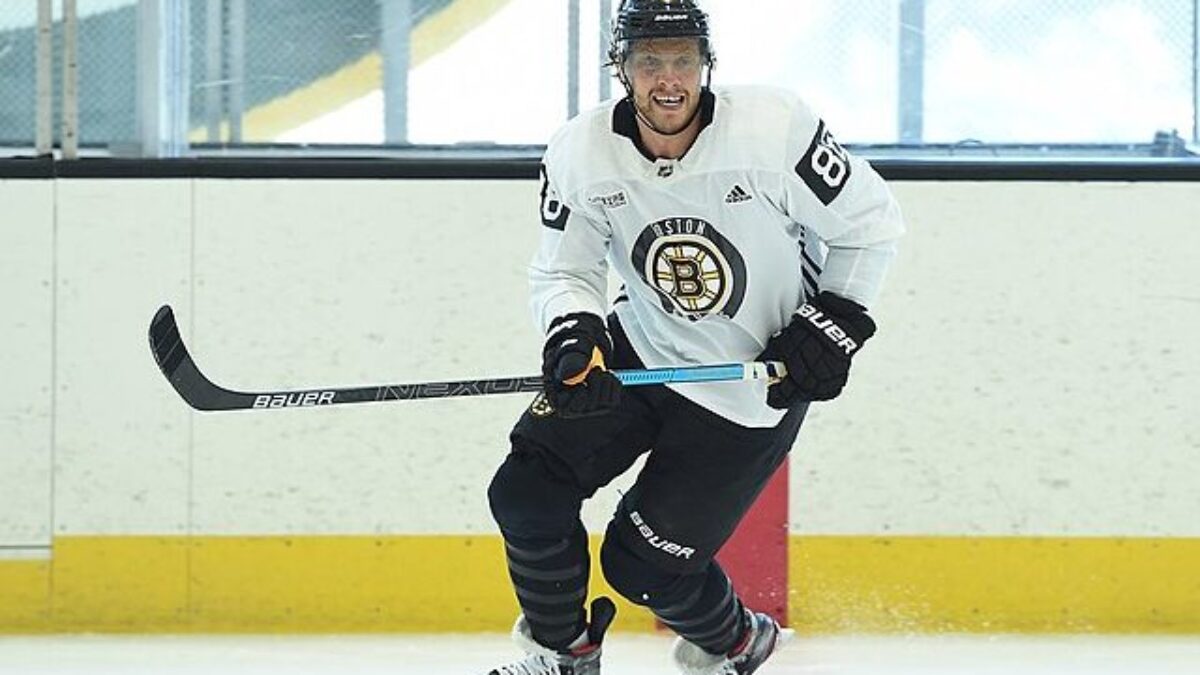 Bostonbruinsfan22