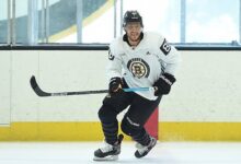 Bostonbruinsfan22