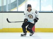 Bostonbruinsfan22