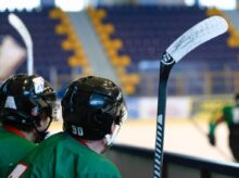 hockey game, stadion, ice skating rink
