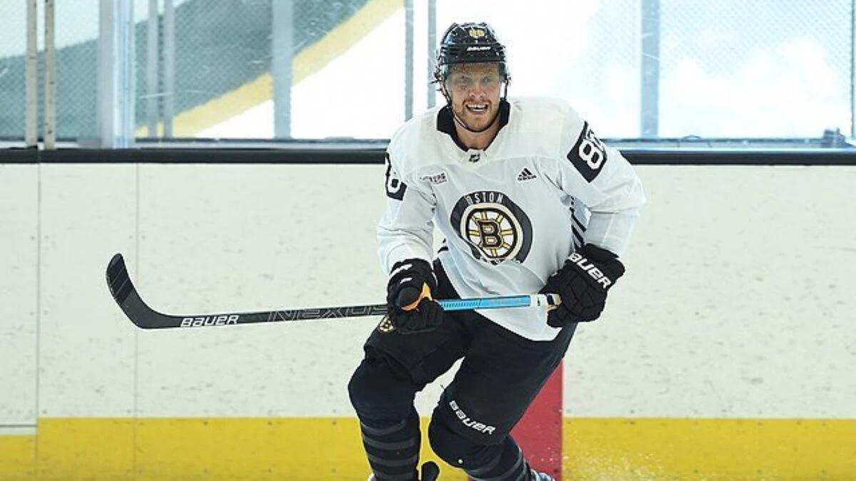 Bostonbruinsfan22