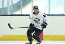 Bostonbruinsfan22