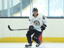 Bostonbruinsfan22