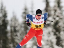 Michal Novák