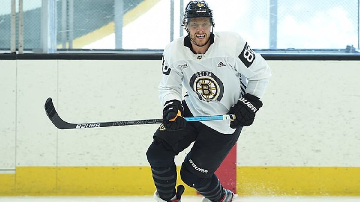 Bostonbruinsfan22
