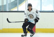 Bostonbruinsfan22