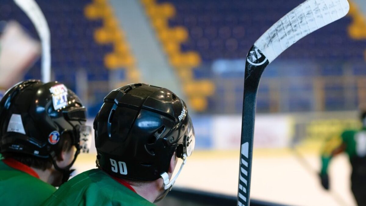 hockey game, stadion, ice skating rink