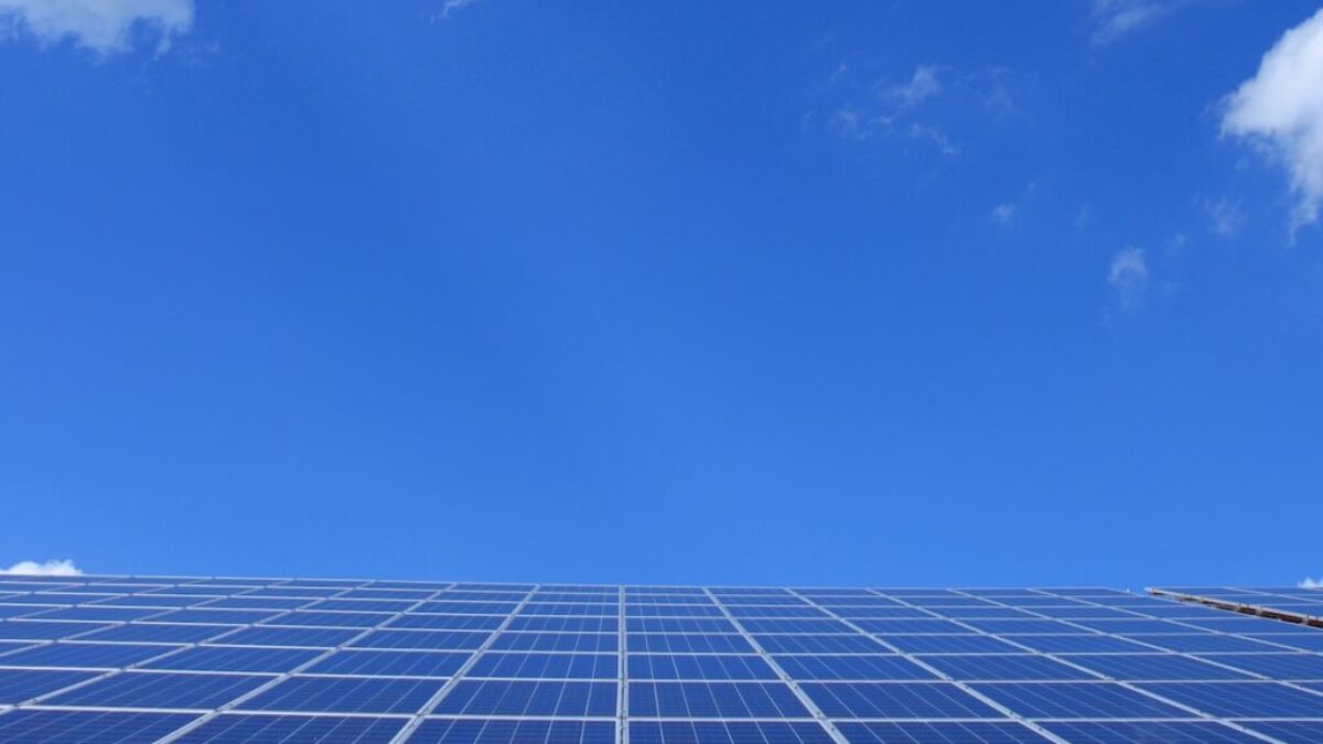 Blue Solar Panels Under Sunny Sky