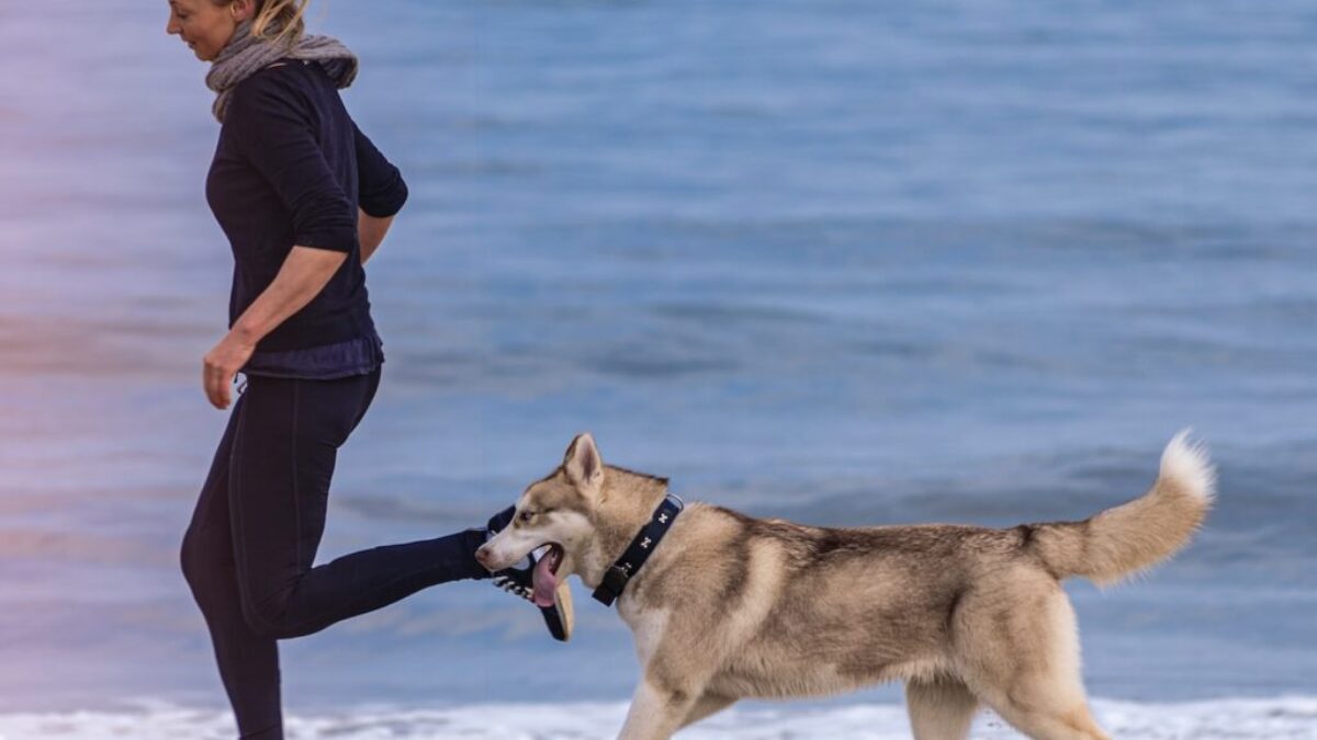 woman and dog on seashore