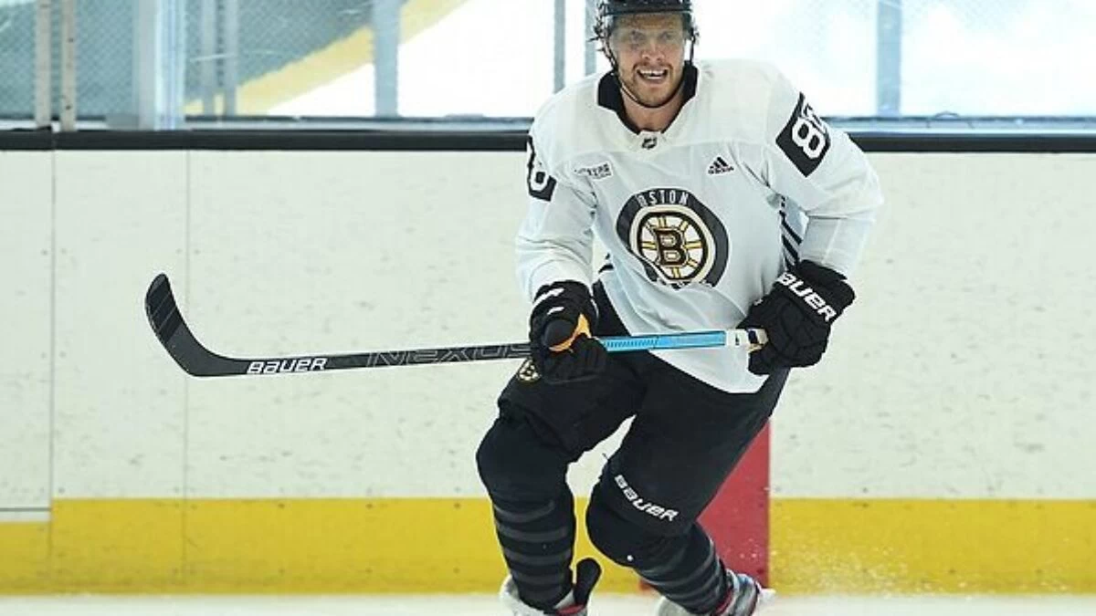 Bostonbruinsfan 22
