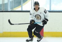 Bostonbruinsfan 22
