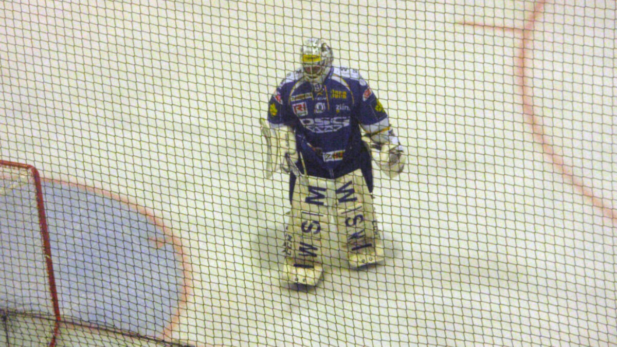Hokejový brankář