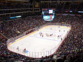 Arizona Coyotes v NHL