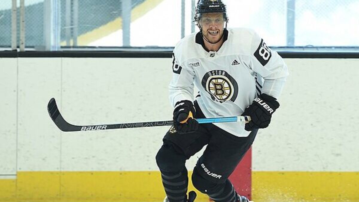 Bostonbruinsfan 22
