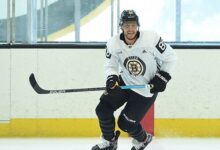 Bostonbruinsfan 22
