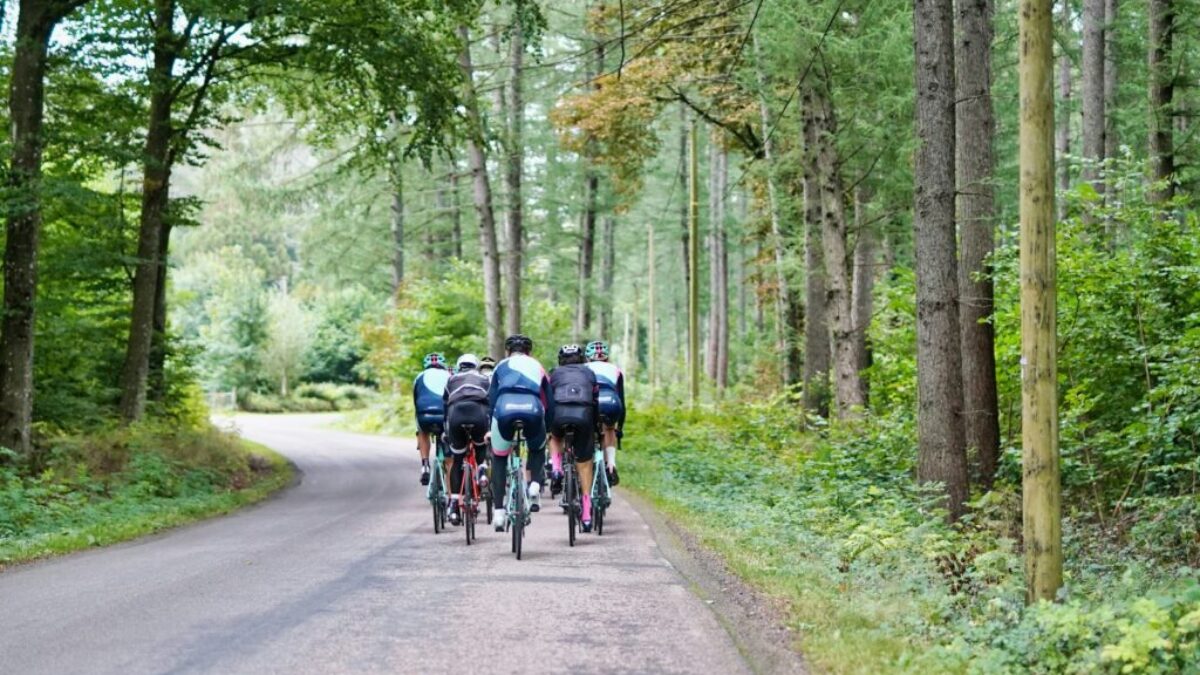 people riding bicycles on road during daytime
