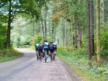 people riding bicycles on road during daytime