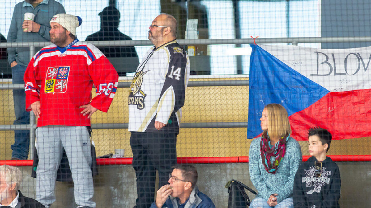 Czech hockey fans