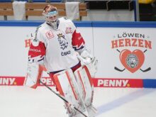 Sandro Halank