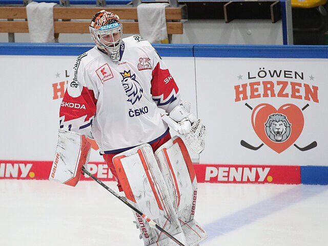 Sandro Halank