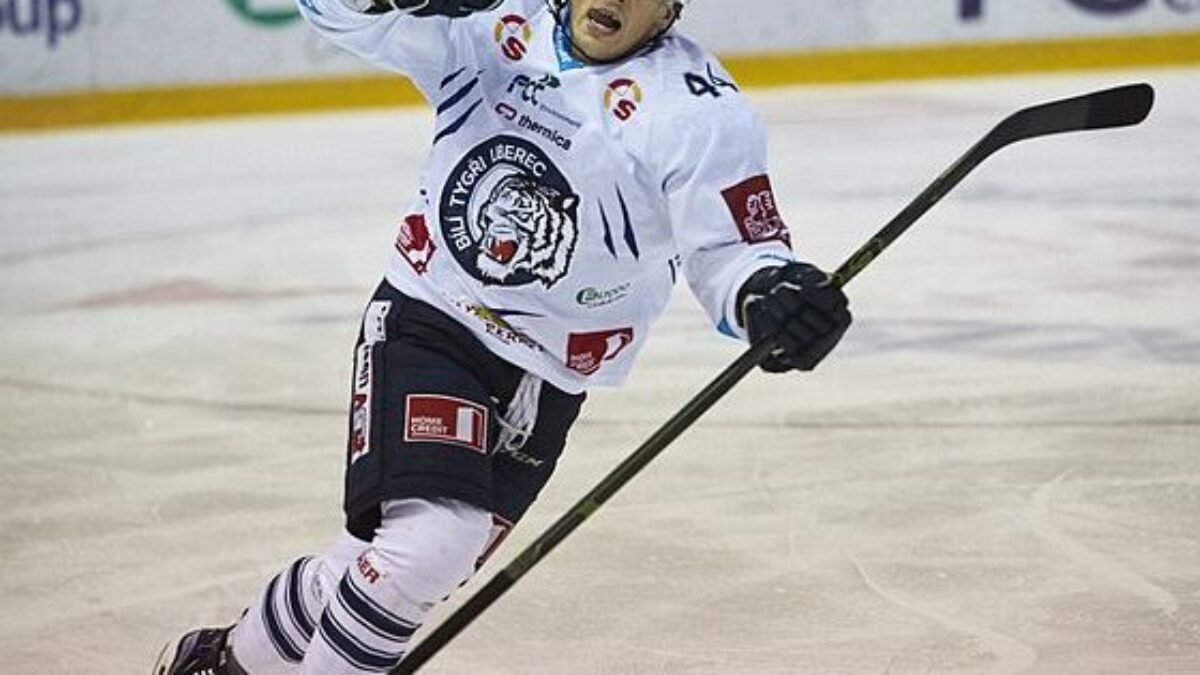 Wikipedista90