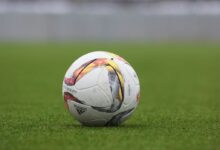 white and gray Adidas soccerball on lawn grass
