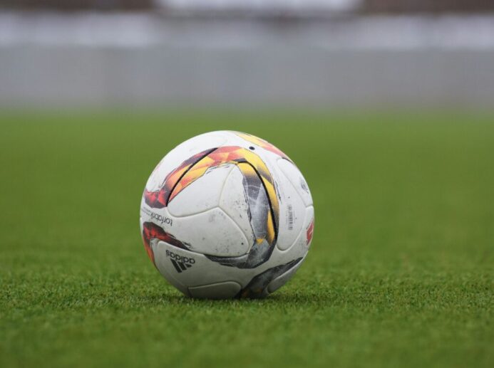 white and gray Adidas soccerball on lawn grass