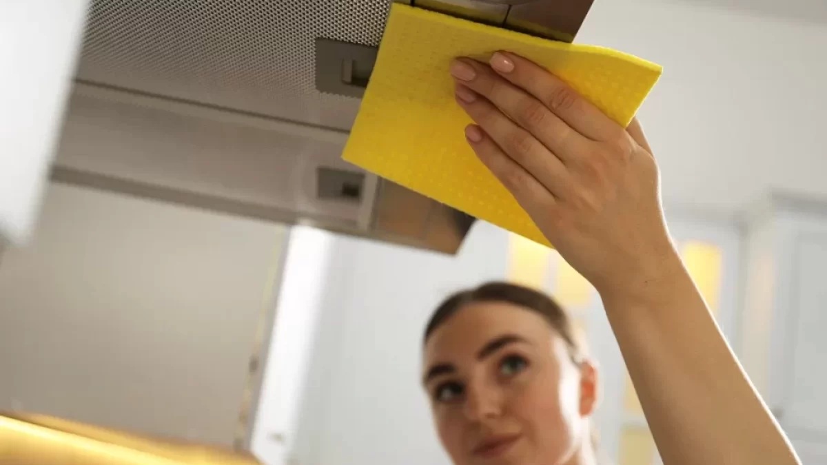 Digestoř je jedním z kuchyňských přístrojů, který se nejvíce zanáší nečistotami