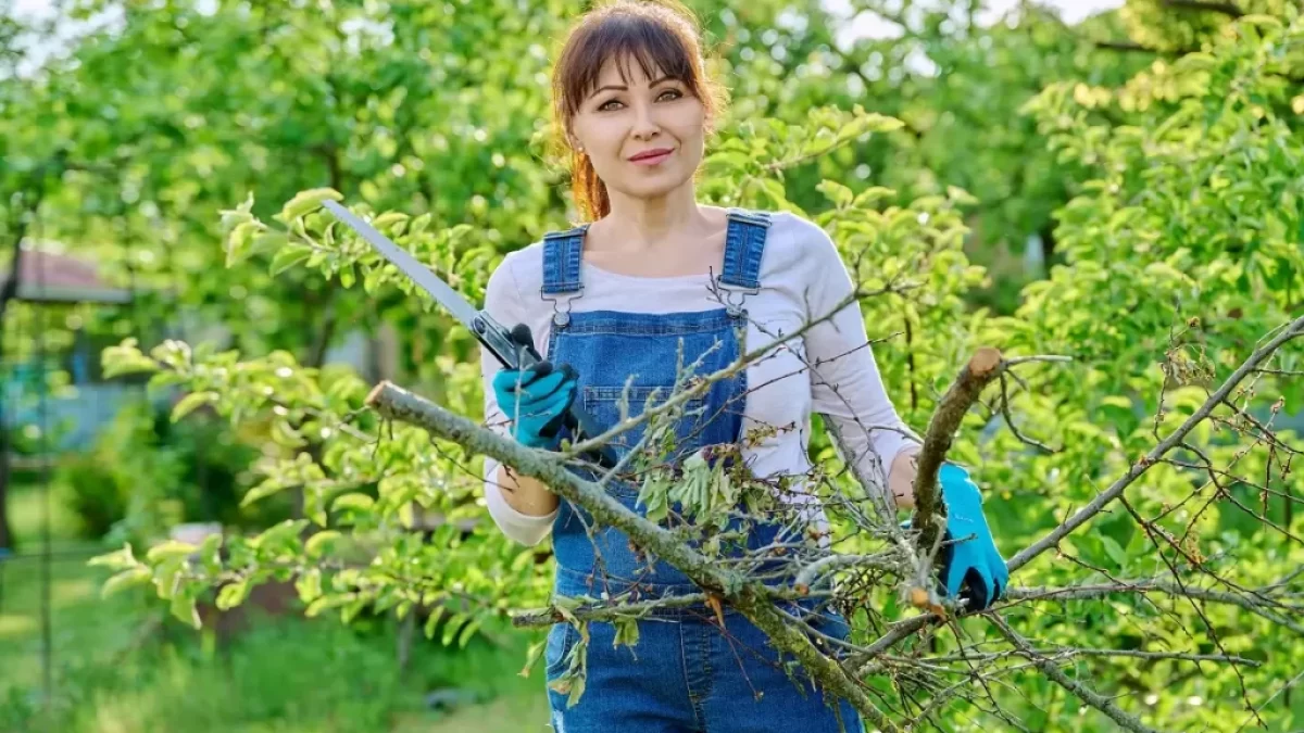 Žena se zahradnickou pilkou na ořez stromů