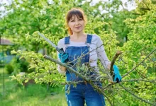 Žena se zahradnickou pilkou na ořez stromů