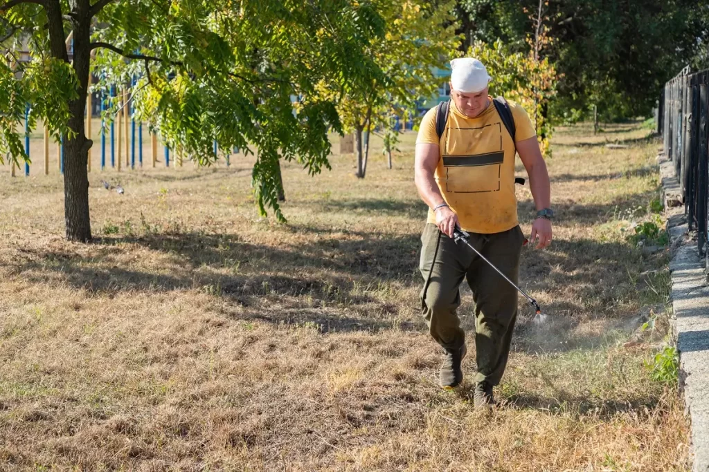 Muž ničí invazivní rostliny s pomocí herbicidů