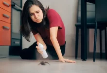 Žena sprejem odpuzuje pavouka