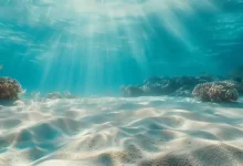 Oceánské dno.