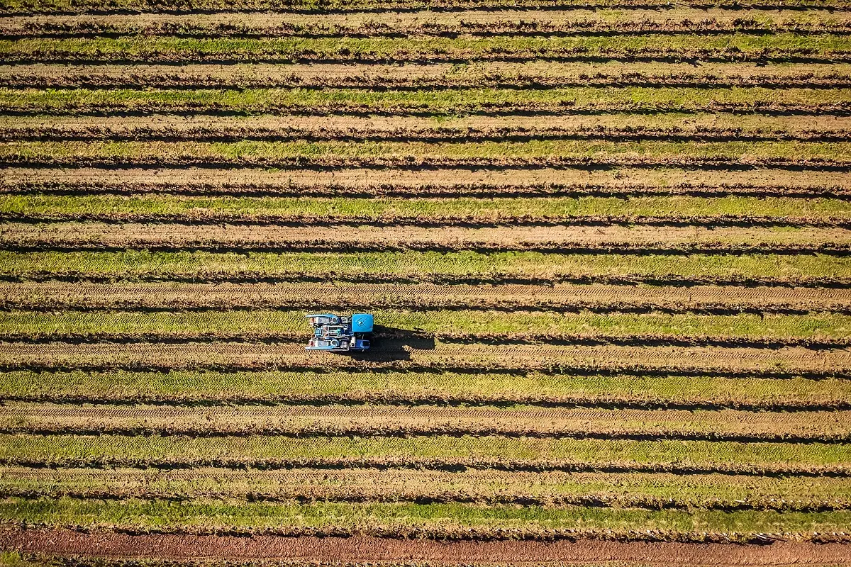Velké Bílovice 2 - SportDeník Hektary vinic a traktor