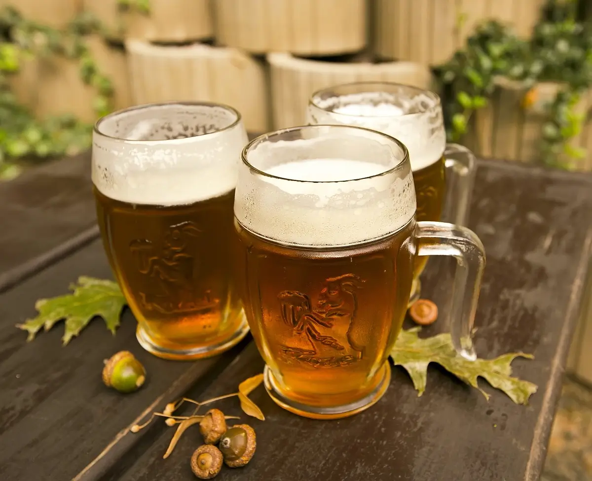 Pivo Velkopopovický kozel