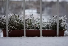 Balkón v zimě s truhlíkem.