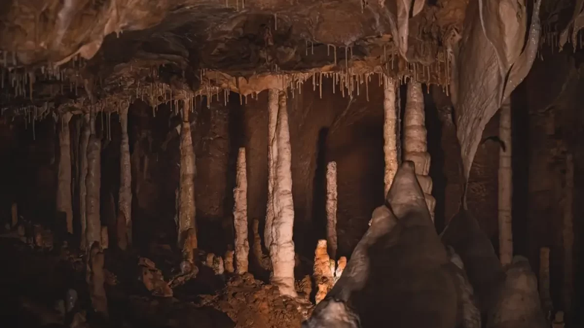Vápencová výzdoba jeskyně.