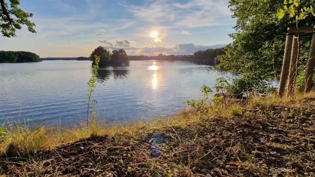 Třeboňský rybník Svět