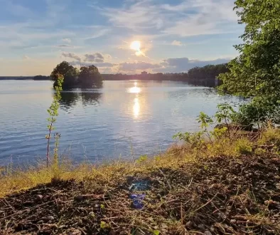 Třeboňský rybník Svět