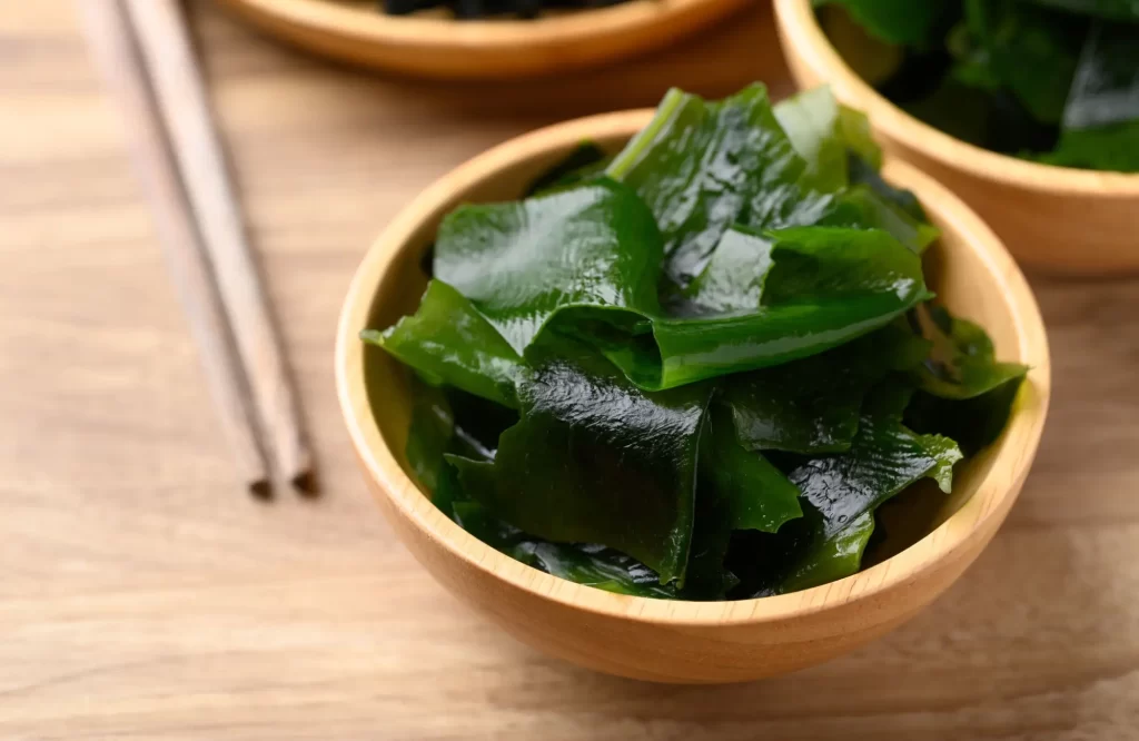 Shutterstock_2498432481 - SportDeník wakame řasy
