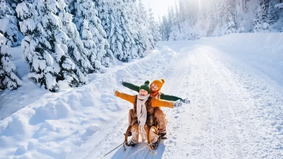 Děti sáňkují v zasněžené přírodě
