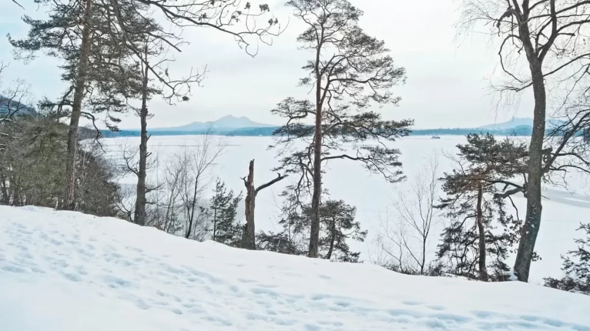 Okolí Máchova jezera