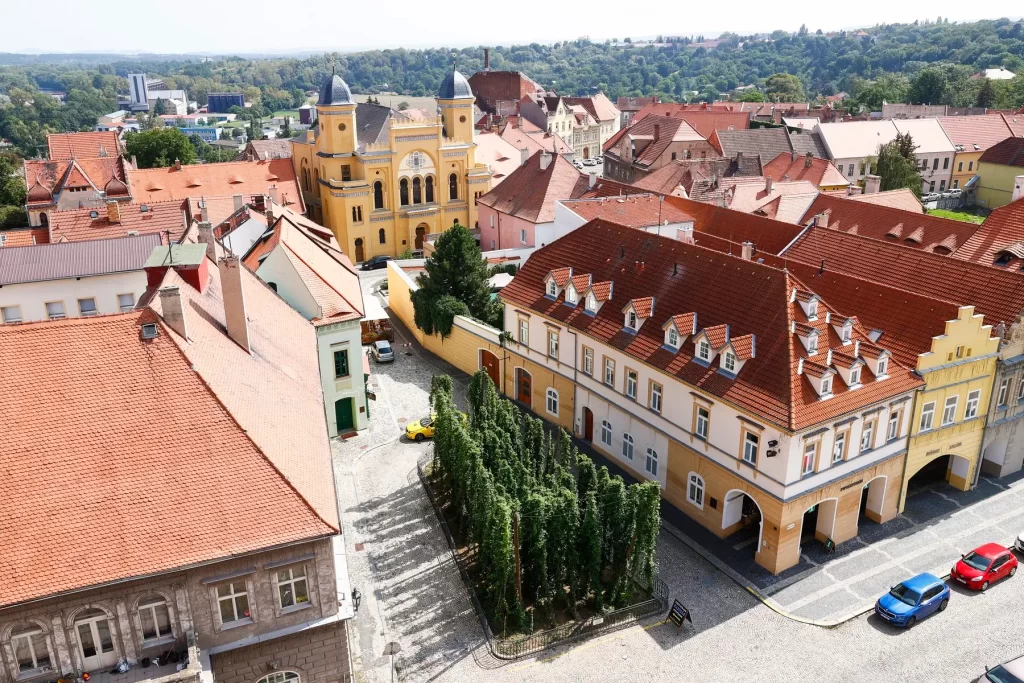 profimedia-0918349773 - SportDeník Žatec je právem označován jako město chmele a piva
