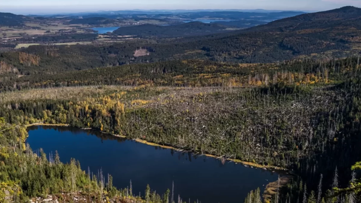 Plešné jezero