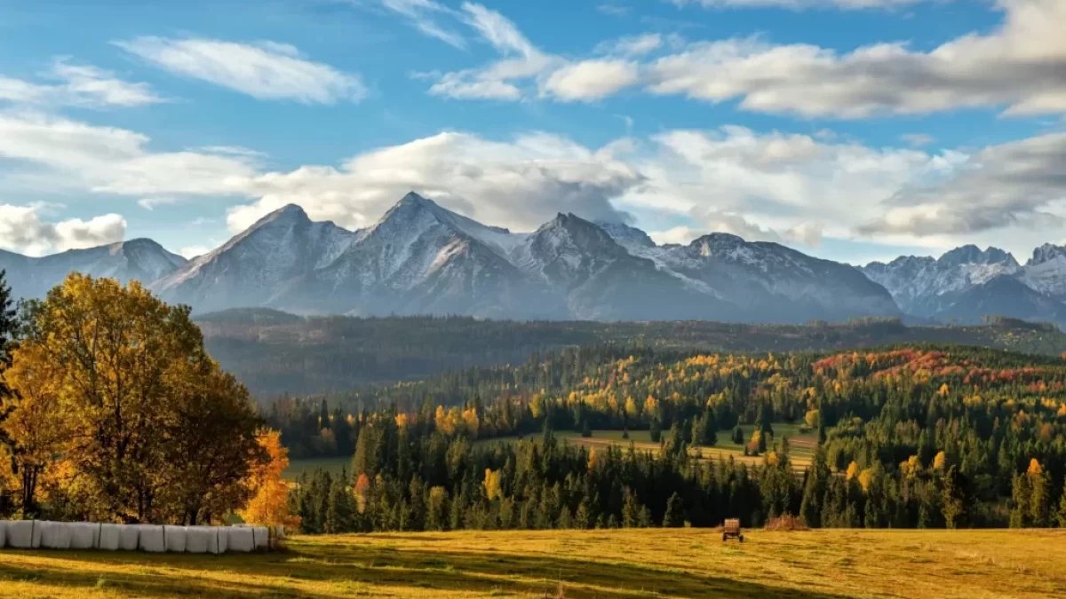 Tatry