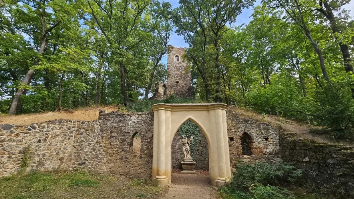 Vidoule, Cibulka